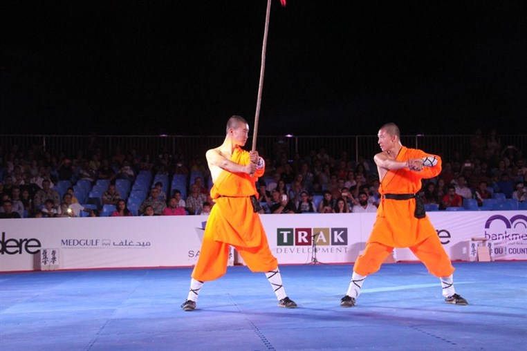 Martial Arts Festival